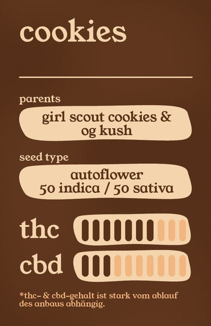 Cookies - Autoflower Samen - THE HERBALIST