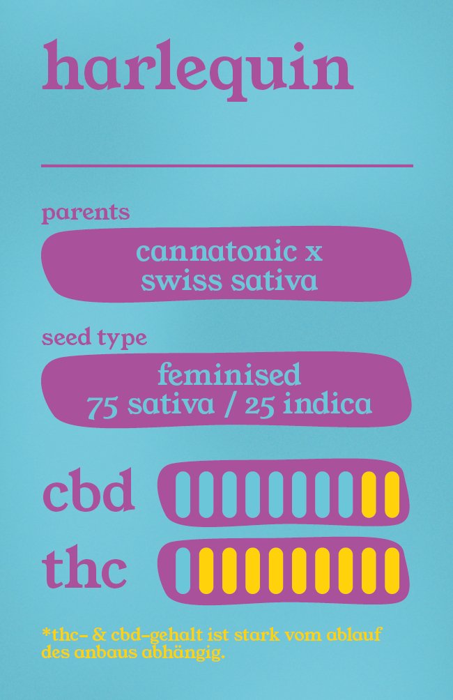 Harlequin - Feminisierte CBD Samen - THE HERBALIST