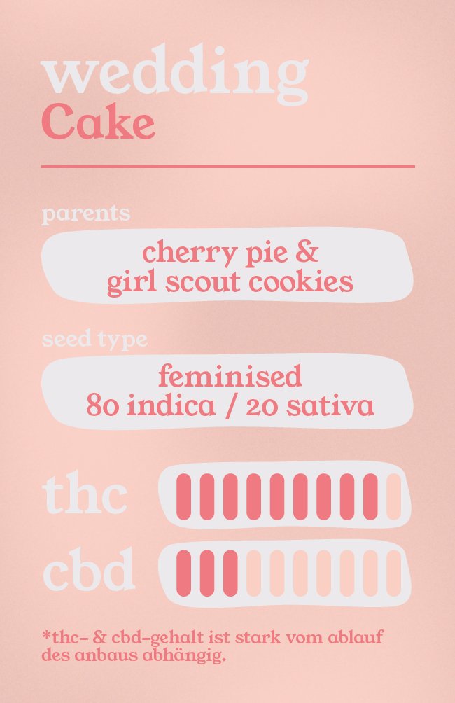 Wedding Cake - Feminisierte Samen - THE HERBALIST