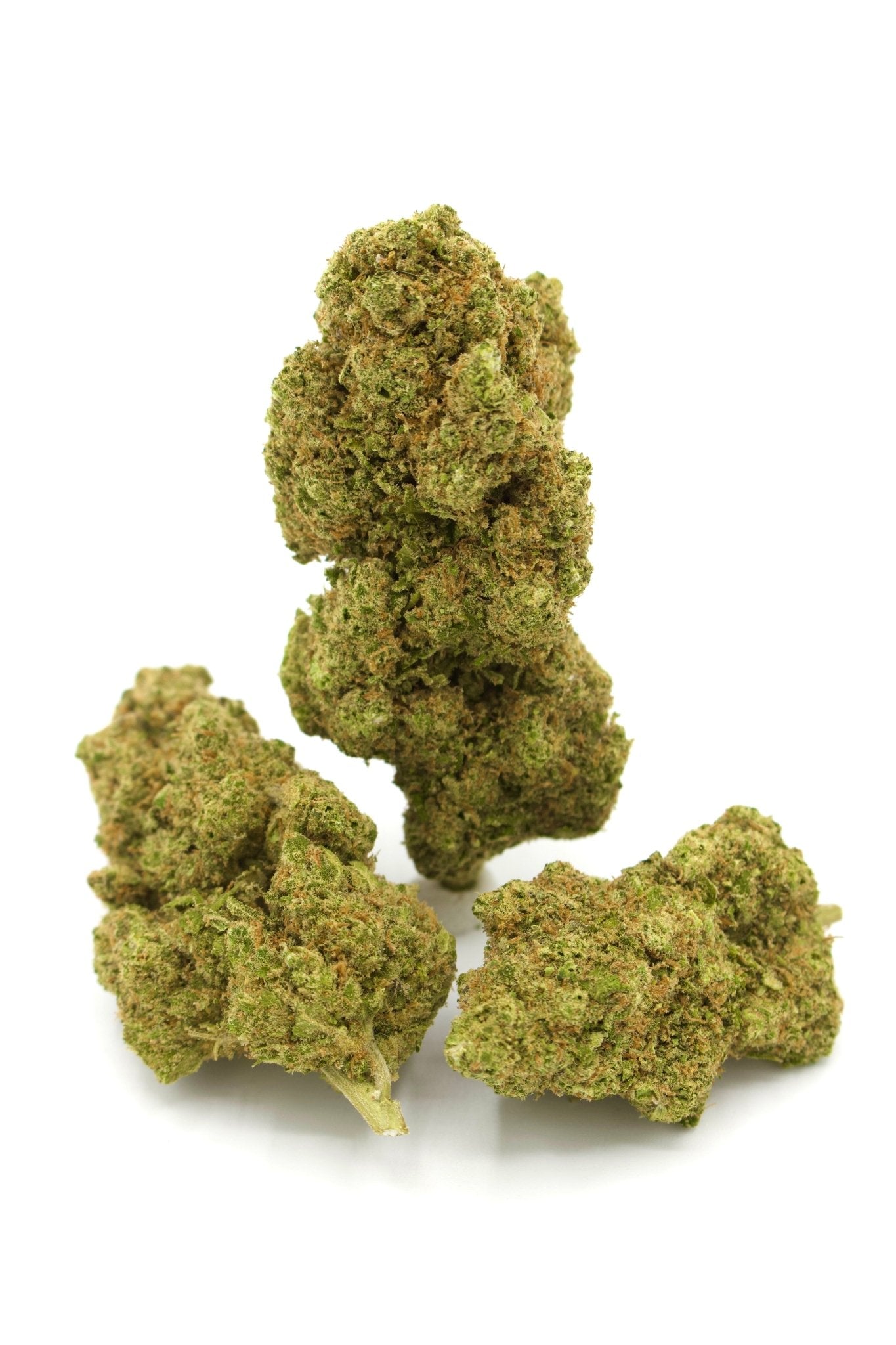 Sour Hanfblütentee - THE HERBALIST