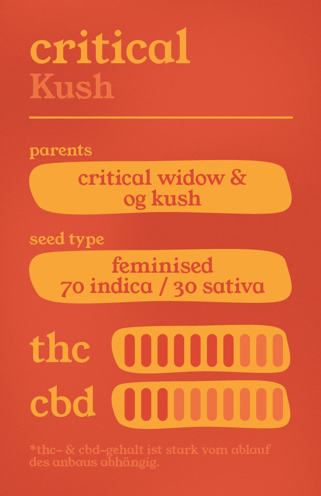 Critical Kush - Feminisierte Samen - THE HERBALIST