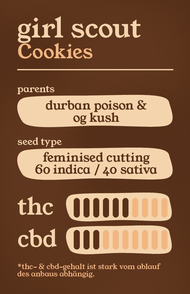 Girl Scout Cookies - Steckling - THE HERBALIST