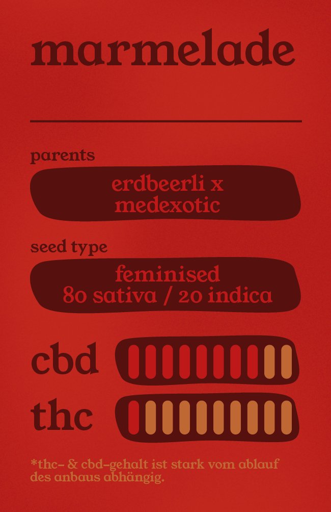 Marmelade - Feminisierte CBD Samen - THE HERBALIST