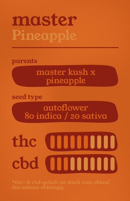 Master Pineapple - Autoflower Samen - THE HERBALIST